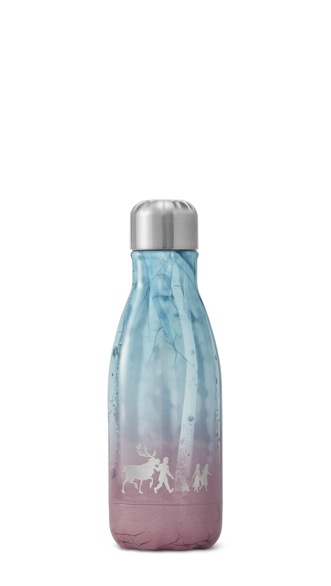 Disney Frozen 2 Frozen Quest S'well Water Bottle - The Grasshopper Shop